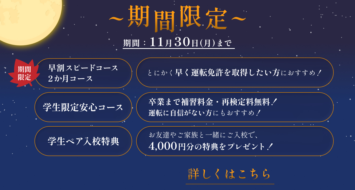 期間限定 11月30日まで